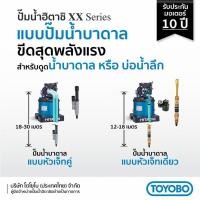 ราคา HITACHI ปั๊มน้ำอัตโนมัติ 300W รุ่น DT-P300XX PJ (เจ็ทคู่ดูดลึก) 18-30ม. (12617152)