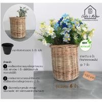 ราคา PuenBan ตะกร้าหวาย ตะกร้าสานจากหวายแท้ สำหรับเป็นกระถางต้นไม้หรือตะกร้าผ้า มีขอบ 6 นิ้ว (12743594)