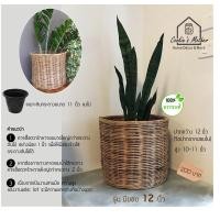 ราคา PuenBan ตะกร้าหวาย ตะกร้าสานจากหวายแท้ สำหรับเป็นกระถางต้นไม้หรือตะกร้าผ้า มีขอบ 12 นิ้ว (12743600)