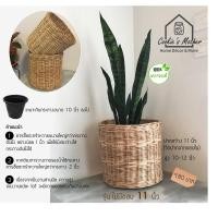 ราคา PuenBan ตะกร้าหวาย ตะกร้าสานจากหวายแท้ สำหรับเป็นกระถางต้นไม้หรือตะกร้าผ้า ไม่มีขอบ 11 นิ้ว (12743590)