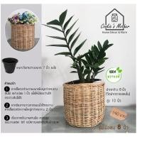 ราคา PuenBan ตะกร้าหวาย ตะกร้าสานจากหวายแท้ สำหรับเป็นกระถางต้นไม้หรือตะกร้าผ้า มีขอบ 8 นิ้ว (12743596)
