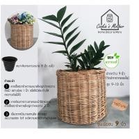 ราคา PuenBan ตะกร้าหวาย ตะกร้าสานจากหวายแท้ สำหรับเป็นกระถางต้นไม้หรือตะกร้าผ้า มีขอบ 9 นิ้ว (12743597)