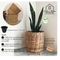 ราคา PuenBan ตะกร้าหวาย ตะกร้าสานจากหวายแท้ สำหรับเป็นกระถางต้นไม้หรือตะกร้าผ้า ไม่มีขอบ 12 นิ้ว (12743589)