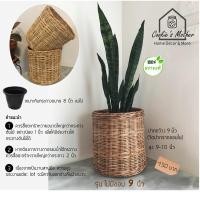 ราคา PuenBan ตะกร้าหวาย ตะกร้าสานจากหวายแท้ สำหรับเป็นกระถางต้นไม้หรือตะกร้าผ้า ไม่มีขอบ 9 นิ้ว (12743592)