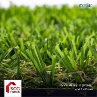 ราคา Moolar หญ้าเทียมญี่ปุ่น สูง 1.5 ซม. รุ่น J1 2x25m (12771665)