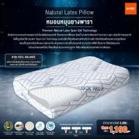 ราคา เซทหมอนสุขภาพซีรีส์ COOL BALAND รวม 3 ใบ!!! หมอนนอนเย็นสุดล้ำ หลับสบาย ช่วยแก้ปัญหาการนอนที่ขายดีที่สุด ! หมอนหนุนยางพารา (12791650)