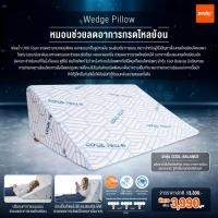 ราคา เซทหมอนสุขภาพซีรีส์ COOL BALAND รวม 3 ใบ!!! หมอนนอนเย็นสุดล้ำ หลับสบาย ช่วยแก้ปัญหาการนอนที่ขายดีที่สุด ! หมอนลดกรดไหลย้อน (12791655)