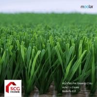 ราคา Moolar หญ้าเทียมสำหรับสัตว์เลี้ยง สูง 2 ซม. รุ่น Pet Grass 1x2m (12771653)