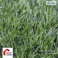 ราคา Moolar หญ้าเทียม สูง 2 ซม. รุ่น UR2 2x25m (12771672)