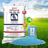 ราคา แหลมทอง3 ปุ๋ยเคมี 16-16-16 ปุ๋ยสูตร สูตรเสมอ เรือใบไข่มุก ปุ๋ยเร่งต้นเร่งดอก ใช้ได้กับพืชทุกชนิด 500 กรัม (12770705)