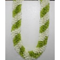 ราคา THE ORCHID RAY พวงมาลัยคล้องคอ 38 นิ้ว S09 (12798133)