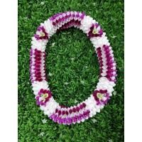 ราคา THE ORCHID RAY พวงมาลัยคล้องคอ 38 นิ้ว S2 (12798136)