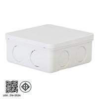 ราคา SCG / ท่อน้ำไทย กล่องพักสาย กล่องพักสายไฟ 2x4, 4x4 เหลี่ยม สำหรับท่อ 3/8"(3หุน) , 1/2" (4หุน) , 6หุน (3/4") 4x4 สีขาว SCG (12774441)