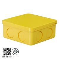 ราคา SCG / ท่อน้ำไทย กล่องพักสาย กล่องพักสายไฟ 2x4, 4x4 เหลี่ยม สำหรับท่อ 3/8"(3หุน) , 1/2" (4หุน) , 6หุน (3/4") 4x4 เหลือง ท่อน้ำไทย (12774442)