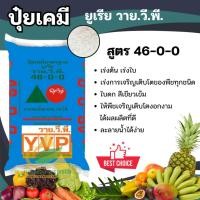 ราคา แหลมทอง3 ปุ๋ยยูเรีย 46-0-0 วาย.วี.พี. บำรุงต้นและใบ เร่งการเจริญเติบโตของพืช พืชลำต้นสูง 500 กรัม (12770678)
