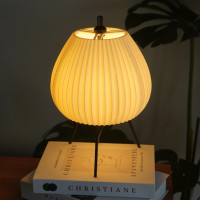 ราคา Awano Designs โคมไฟปริ้น 3 มิติ รุ่น ONA LAMP โคมไฟตั้งโต๊ะ โคมไฟหัวเตียง โคมไฟอ่านหนังสือ ตกแต่งห้อง ตกแต่งคาเฟ่ (12770265)