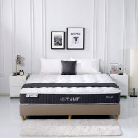 ราคา TULIP รุ่น OSLO ที่นอนระบบพ็อกเก็ตสปริง หนา 10 นิ้ว รุ่น OSLO ขนาด 3.5 ฟุต 3.5 ฟุต (ทวิน) (12813922)