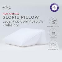 ราคา mr.big Slopie Pillow - หมอนสโลปี้ ยกลำตัว นอนสบาย ลดกรด ลดกรน (12810143)