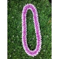 ราคา THE ORCHID RAY พวงมาลัยคล้องคอ 38 นิ้ว S8 (12798139)