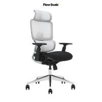 ราคา FlowScale เก้าอี้เพื่อสุขภาพ รุ่น Nova พนักพิงตาข่าย เบาะหุ้มผ้า Gray/Black (12799490)