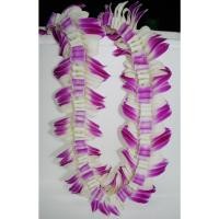 ราคา THE ORCHID RAY พวงมาลัยคล้องคอ 38 นิ้ว P5 (12798128)