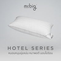 ราคา mr.big Hotel Series Tradition 19x29 in 1000g แพ็คเดี่ยว (12810266)