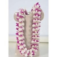 ราคา THE ORCHID RAY พวงมาลัยคล้องคอ 38 นิ้ว P2 (12798121)