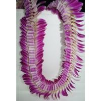 ราคา THE ORCHID RAY พวงมาลัยคล้องคอ 38 นิ้ว P6 (12798123)