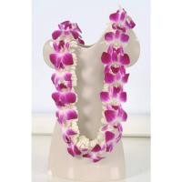 ราคา THE ORCHID RAY พวงมาลัยคล้องคอ 38 นิ้ว P1 (12798125)