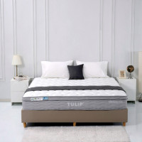 ราคา TULIP รุ่น MELBOURNE ที่นอนระบบพ็อกเก็ตสปริง ผ้าหุ้ม Anti-Bacterial หนา 10 นิ้ว รุ่น MELBOURNE ขนาด 3.5 ฟุต 3.5 ฟุต (ทวิน) (12813920)
