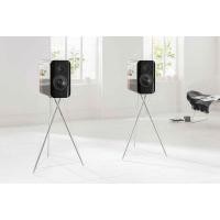 ราคา Q Acoustics Concept 300 (ราคารวมขาตั้ง) 22.00cm L x 40.00cm W ดำ (10237276)