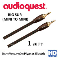 ราคา Audioquest Bigsur mini Interconnect Cable 1 เมตร Interconnect Cable (10233302)