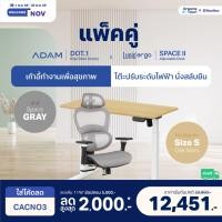 ราคา Dreamstown เซ็ตสุดคุ้ม โต๊ะปรับระดับไฟฟ้า รุ่น Space ll + เก้าอี้ทำงานเพื่อสุขภาพ ADAM DOT.1 THE 3D ERGO CHAIR เก้าอี้เทา+โต๊ะ S (12461355)