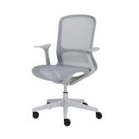 ราคา Modernform เก้าอี้สำนักงาน รุ่น RAINBO แขน FIXED เบาะและพนักพิงตาข่าย เทา (12730711)