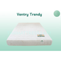 ราคา ที่นอนไทย 1441 Thai Mattress 1441 ที่นอนยางพารา Ventry Trendy เตียงเดี่ยว และเตียงคู่ 3feet5inch 3.5 ฟุต หนา 8 นิ้ว ยางพารา (10278337)