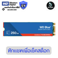 ราคา WD เอสเอสดี Blue SA510 SATA SSD M.2 2280 250 GB (WDS250G3B0B-00AXS0) ประกันศูนย์ (12825819)