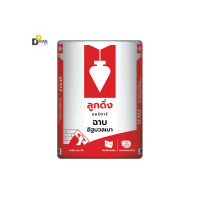 ราคา DDhome solutionปูนฉาบอิฐมวลเบา ตราลูกดิ่ง CP001 40Kg (10193673)