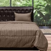 ราคา Picasso รุ่น Smile ผ้าห่มนวมใยสังเคราะห์ /ผ้าไมโครซาติน ลายริ้ว สีน้ำตาล (3.5 ฟุต / 5 ฟุต) 60X80(3.5ฟุต) (12275039)