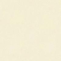 ราคา อาร์ซีไอ กระเบื้องเซรามิค 30 X 30 cm. ทิม ไวท์ สีขาว ผิวหน้าหยาบ หิน 30 X 30 cm. (12294626)