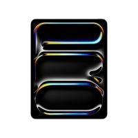 ราคา 13-inch iPad Pro Wi-Fi 256GB Standard Glass - Space Black (M5) (15198296539507)
