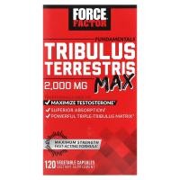 ราคา Force Factor, Fundamentals, Tribulus Terrestris Max, 500 mg, 120 Vegetable Capsules (FOA-01846)