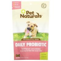 ราคา Pet Naturals, เดลี่ โพรไบโอติก สำหรับสุนัขทุกขนาด ขนาด 2.55 ออนซ์ (72 ก.) บรรจุเม็ดเคี้ยว 60 เม็ด (PEN-87536)