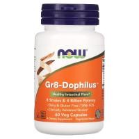 ราคา NOW Foods, Gr8-Dophilus, 60 Veg Capsules (NOW-02912)