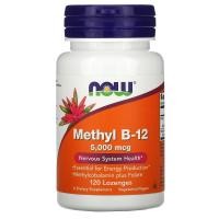 ราคา NOW Foods, Methyl B-12, 5000 mcg, 120 Lozenges (NOW-00493)