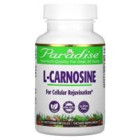ราคา Paradise Herbs, L-Carnosine, 60 Vegetarian Capsules (PAR-77757)
