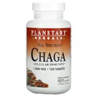 ราคา Planetary Herbals, Full Spectrum Chaga, 1,000 mg, 120 Tablets (PTF-10667)