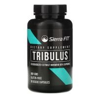 ราคา Sierra Fit, สารสกัดปรับมาตรฐานจากโคกกระสุน ขนาด 500 มก. บรรจุแคปซูลผัก 90 แคปซูล (SIE-01755)