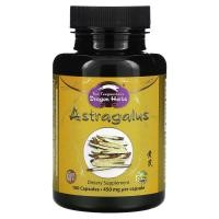 ราคา Dragon Herbs ( Ron Teeguarden ), Astragalus, 425 mg, 100 Vegetarian Capsules (DRA-00502)