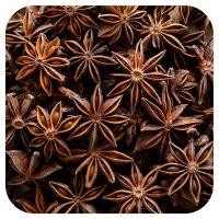ราคา Frontier Co-Op, Organic Whole Star Anise Select, 16 oz (453 g) (FRO-02891)