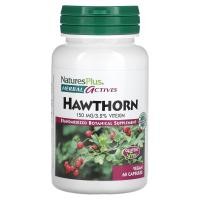 ราคา NaturesPlus, Herbal Actives, Hawthorn, 150 mg, 60 Vegan Capsules (NAP-07200)